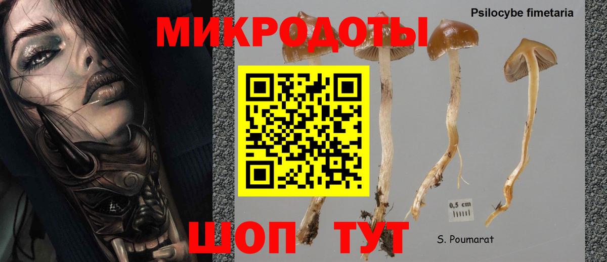 Псилоцибиновые грибы мицелий Людиново